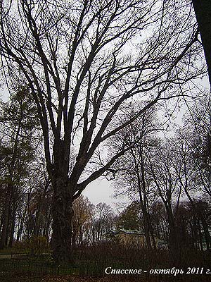 ��������� "� ��������� � ��������" - ������� 2011 �.